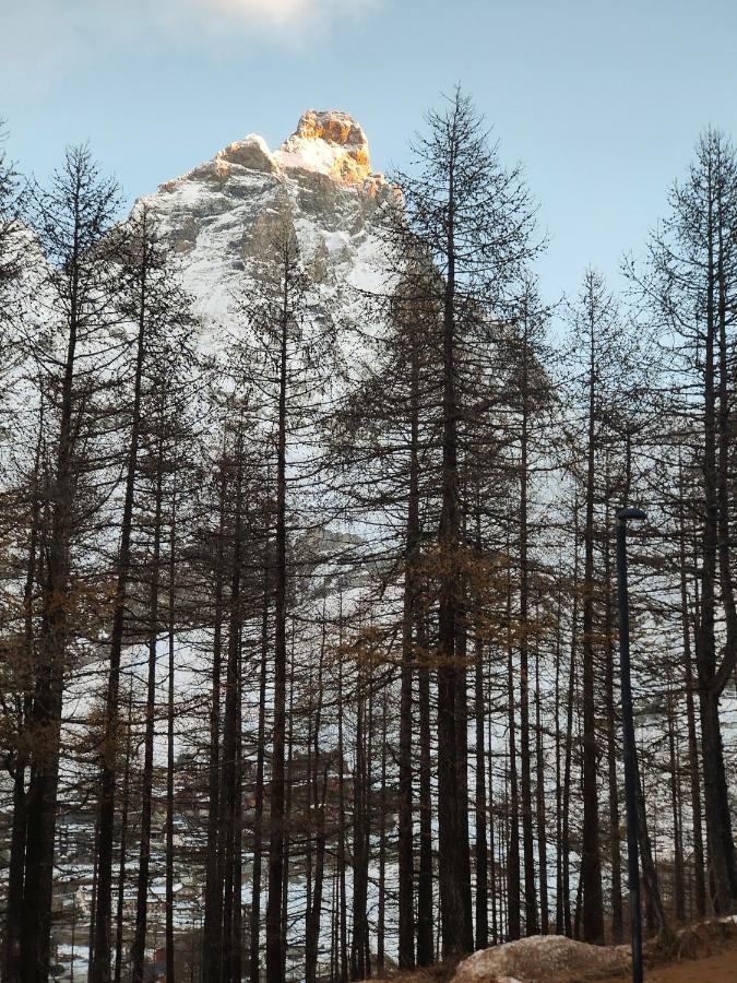 Cervino'S View - Ski In Ski Out Breuil-Cervinia Ngoại thất bức ảnh